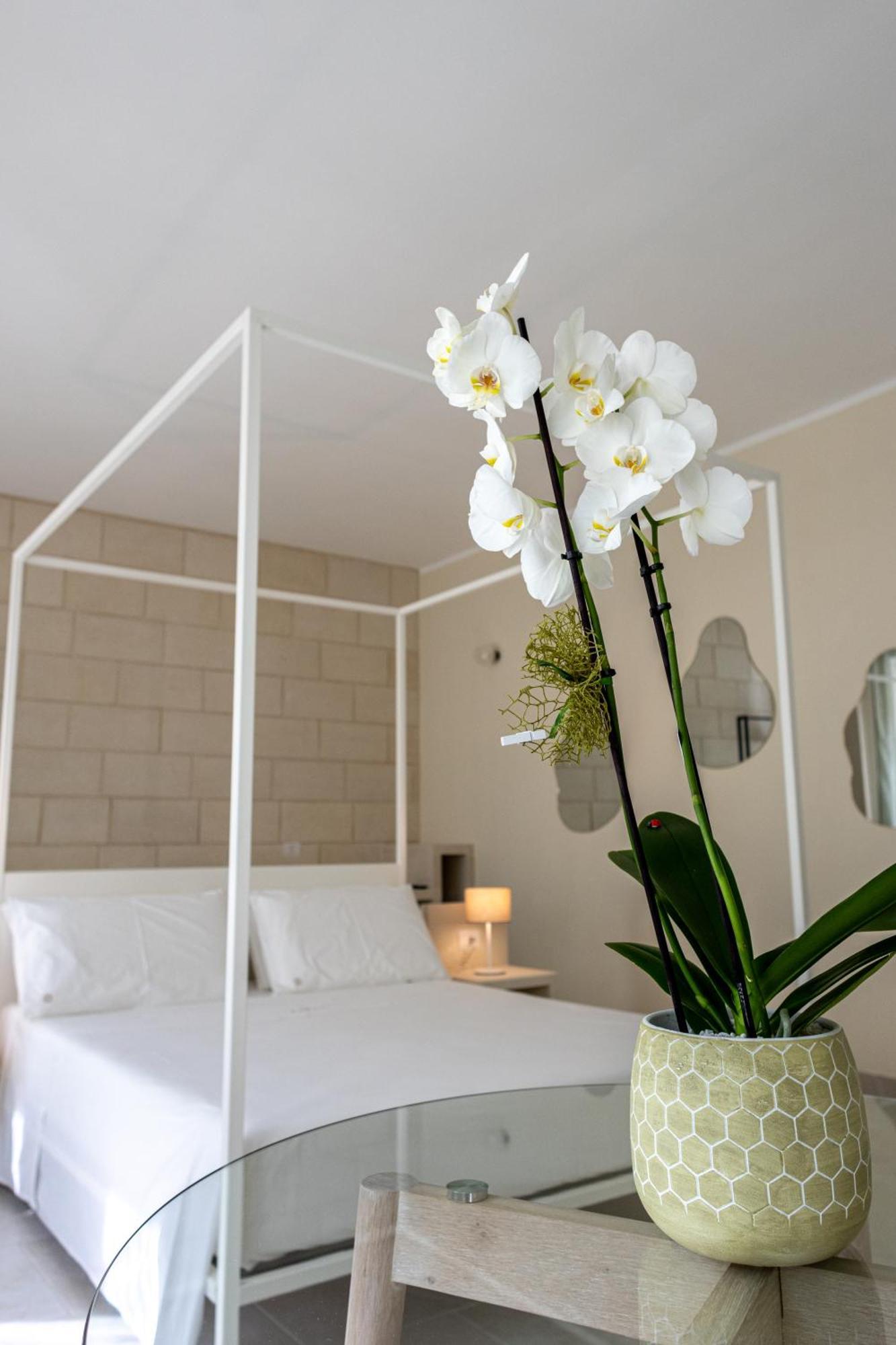Oronti Accommodations Λέτσε Εξωτερικό φωτογραφία